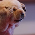 <b>형들</b> 요즘 자료 어디서 받아요?