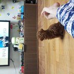 내이름은 <b>로또</b>~ 영어로는 lottery