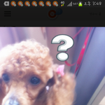 우리 바니를 꼭 보여주고<b>시퍼</b>용ㅎ