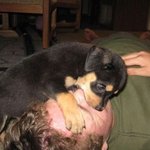 연애??? 응??? 그까이꺼??? 일단 1부~