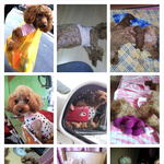 우리<b>바니</b>