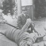 일본이 <b>멸종</b>시킨 한반도 동물들ㅡㅡ