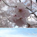<b>열도</b>에 있다는 雪花마을.jpg