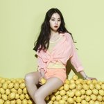 연예인들은 다 말랐는데 ㄱㅅ이 어떻게 있어요?