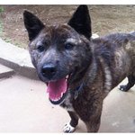 이번<b>주안</b>으로 <b>임</b>보처구합니다ㅠㅠ