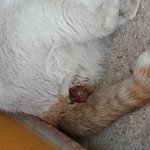 이게 <b>먼지</b> 아시는분ㅠㅠ