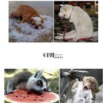 지금껏 풀리지 않은 충격 미스터리! 디아틀로프 탐사대 실종사건