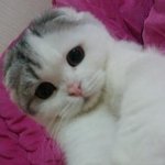 <b>쵸파</b>가 보구싶네용..^^음냐...음냐....