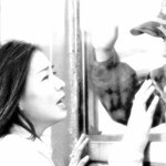 월남전 사랑