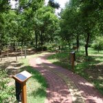 대구대 <b>점자</b>·음성안내 수목원