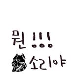 <b>특전</b>사 장교들  하는말 다 거짓말~~~