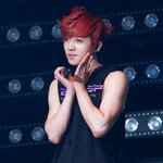 <b>최종현</b>이뻐죽음