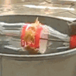 친환경 <b>쥐덫</b>