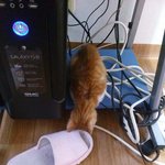 새식구가 왔어요~