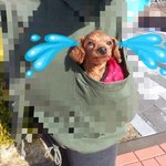엄마...  <b>내</b>..<b>내</b>..<b>눈</b>이...