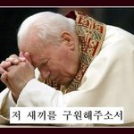 개독 땜시 돌겠네요....