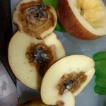 이마트 <b>dc</b>상품은 썩은거 팔아도되나요