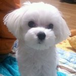 우리콩이자랑 ^^