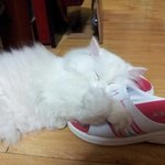 포인트의일상