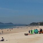 <b>바다</b>에서줍는돈