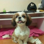 먼지와 콩이네