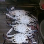 <b>소래포구</b>꽃게 사기당한기분입니다.