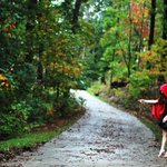5kg 빼는 일상 생활 다이어트 10계명