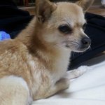 14살 할머니와 4살 총각이야기