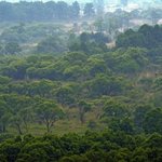 지구에서 57년간 인간의 발길이 닿지 않은곳.jpg