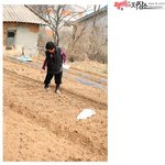 <b>시골</b>의 흔한 강아지.jpg
