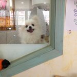 연예견병 걸린 <b>한글</b>이 [38]