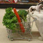 요새 <b>채소값</b>이 너무 올라서 큰일이야