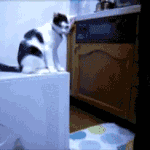 어딜만저 어딜 만지냐구.<b>gif</b>