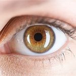 신기방기한 다양한 눈동자 <b>색들</b> +_+