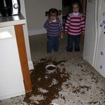 짱구보다 더 못 말리는 귀여운 악동들 <b>말썽</b>테러!