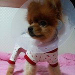 진짜 너무 어이가없;;;;;;;;;;;;;;;;;;;;;;;;;;;;;