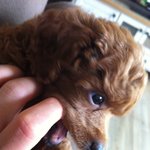 제이름은 <b>순금</b>이예요^^