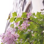 <b>소니</b>a58 초보자 보급용dslr 사진들