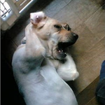 <b>짝남</b>이 나한테 맘이 없나봐ㅠㅠ