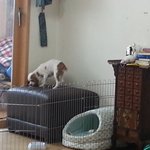 <b>자두야</b>^^
