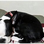 딸이 <b>일상</b> 두번째이야기