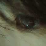 [무조건<b>반함</b>] 한효주 움짤 모음!