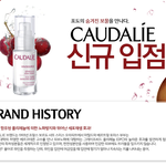 프랑스 꼬달리 신규오픈