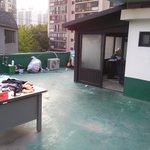 밴드맴<b>버들</b>과 바퀴벌레의동거.....