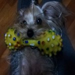 용인  <b>처인구</b> 고림동에서 ㅠㅠ