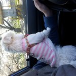 세상에서 제일 이쁜 우리똥강아지 ;^<b>d</b>