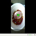 길고양이 <b>ucc</b>