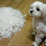 <b>허탈</b>........하니....??