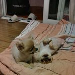 와와뭉치이야기 ^^