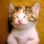 네이트인 들의 훌륭한 <b>잣대</b>.!!